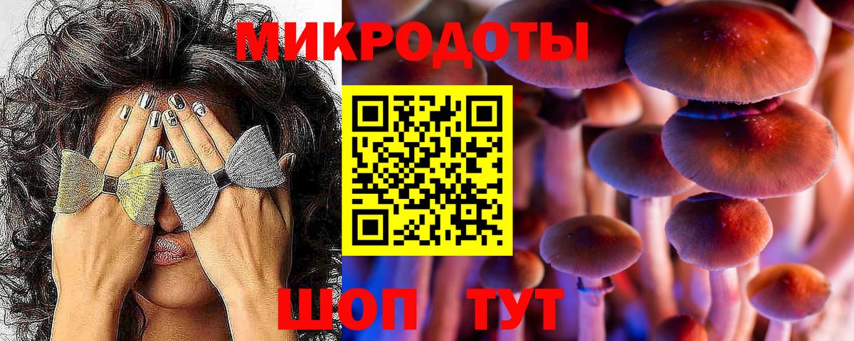 Псилоцибиновые грибы Cubensis Будённовск