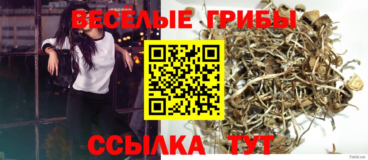 Галлюциногенные грибы Magic Shrooms  Псилоцибиновые грибы Psilocybe  Вход с VPN  Будённовск 